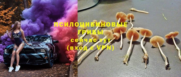 бошки Алзамай