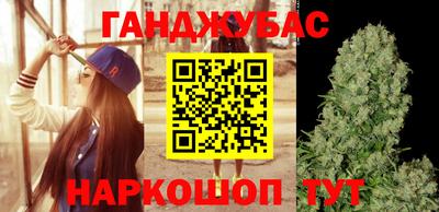 мдпв Бийск