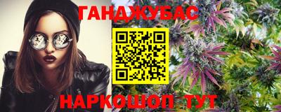мдпв Бийск