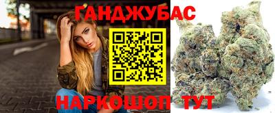 мдпв Бийск