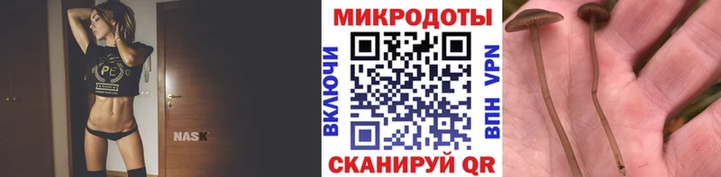 где найти наркотики  MEGA вход  Псилоцибиновые грибы Psilocybe  площадка состав  Ижевск 