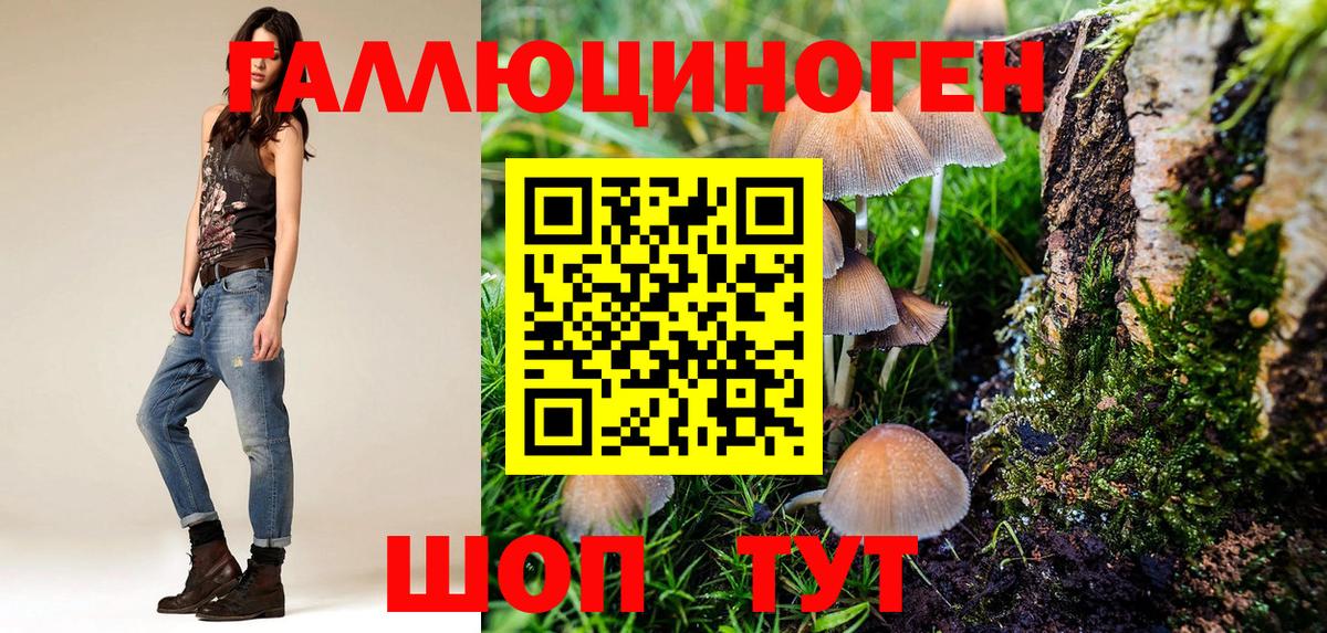 Ижевск  Псилоцибиновые грибы GOLDEN TEACHER  Вход с VPN 
